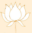 Picture for song 'Lotus Fields' by artist 'Danny Goodwin'