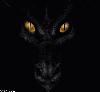 Picture for song 'brimstone' by artist 'Dark Age (Netherlands)'