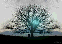 Picture for song 'Ashes To Ashes' by artist 'Dark Cloud (VT)'