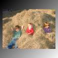 Picture for song 'Hay Stack' by artist 'Darling Martians'