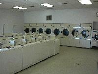Picture for song 'Laundromat' by artist 'Darling Martians'
