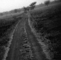 Picture for song 'as africa waits' by artist 'darph nadeR'