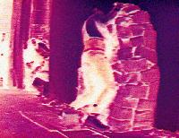 Picture for song 'i punish myself' by artist 'darph nadeR'