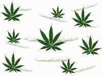 Picture for song '04 - The Unknown (The 2nd Act)' by artist 'Da Spyder'