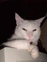 Picture for song 'Places of Sorrow' by artist 'Datalife'