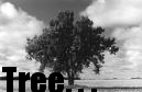 Picture for song 'Tree-Illitary Anthem-Block Anthem Yewdall' by artist 'Da Team PHI'