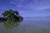 Picture for song 'Blue Tide' by artist 'Dave Byron'