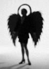 Picture for song 'I'm Your Angel' by artist 'Dave Byron'