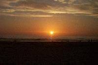 Picture for song 'blues from the boss js5' by artist 'dave d'