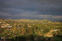 Picture for song 'me myself and I' by artist 'dave d'