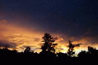 Picture for song 'wind guitar' by artist 'dave d'