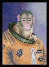 Picture for song 'space monkey' by artist 'DaveDele'