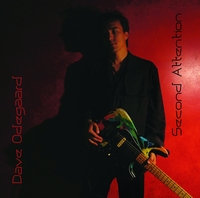Picture for song 'Anomaly' by artist 'Dave Odegaard'