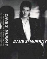 Picture for song 'Just For One Night' by artist 'Dave S Murray'