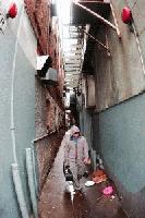 Picture for song 'boy on a mision' by artist 'dave's son'