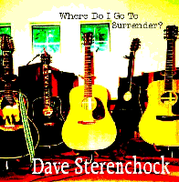 Picture for song 'Where Do I Go To Surrender' by artist 'Dave Sterenchock'