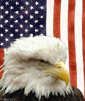 Picture for song 'Proud To Be American' by artist 'David Briel'