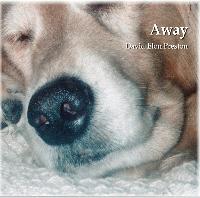 Picture for song 'Away' by artist 'David Elon Preston'