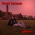 Picture for song 'Powerchord' by artist 'David Jackson'