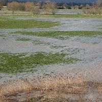 Picture for song 'Fields of the West' by artist 'David Kilpatrick'
