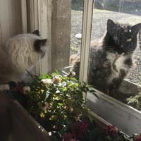 Picture for song 'One Look' by artist 'David Kilpatrick'