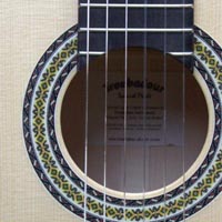 Picture for song 'Rosemary Again' by artist 'David Kilpatrick'