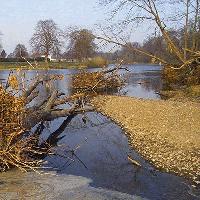 Picture for song 'The Bell Pool' by artist 'David Kilpatrick'