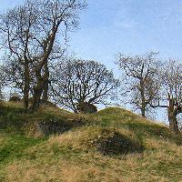 Picture for song 'The Trees They Do Grow High' by artist 'David Kilpatrick'