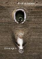 Picture for song 'fly away' by artist 'david middleton'