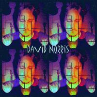 Picture for song 'The World I Knew' by artist 'David Norris'