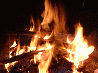 Picture for song 'A dance for the firewood gatherers' by artist 'David Nunes da Silva'