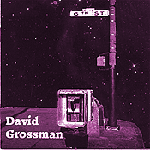 Picture for song 'Leaves' by artist 'David Shepherd Grossman'