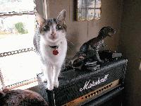 Picture for song 'Clear As Day' by artist 'David Weiss'