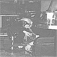 Picture for song 'corpse to cede live in seattle' by artist 'Davis James'