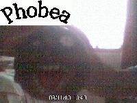 Picture for song 'Unstoppable-Acapella' by artist 'da warlord'