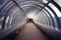 Picture for song 'Rise 2 Da Top' by artist 'Daxfrow'