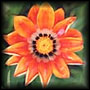 Picture for song 'Mystery' by artist 'Day 41'