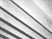 Picture for song 'Reversion' by artist 'Daylight Survival'