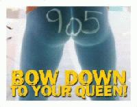 Picture for song 'onlybandever' by artist 'Days In Winter'