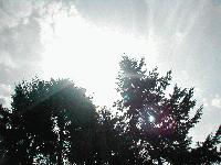 Picture for song 'Report R&R' by artist 'Days To Break'