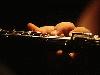 Picture for song 'flute' by artist 'Daz Digler'