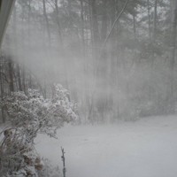 Picture for song 'Girl From The North Country' by artist 'D B Hankinster'