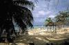 Picture for song 'Caribbian Corona' by artist 'DCC Productions'