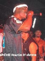 Picture for song 'DCELL - SHOT' by artist 'D CELL'