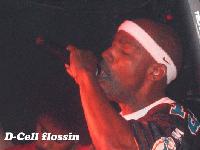 Picture for song 'Torn Apart' by artist 'D CELL'