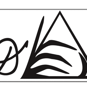 Picture for song 'touchdown -' by artist 'D. Denzel'