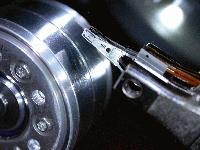 Picture for song 'Murderer' by artist 'DEAD-BEATZ (313)'