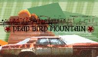 Picture for song 'ears for a memento' by artist 'Dead Bird Mountain'
