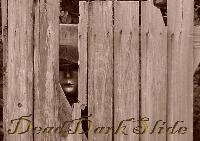 Picture for song 'fishbowl' by artist 'Dead Dark Slide'
