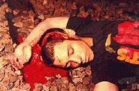 Picture for song 'sludge' by artist 'dead kid chronicles'